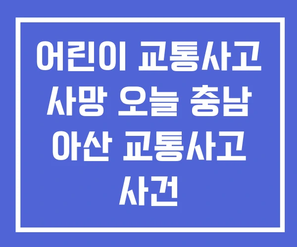 어린이 교통사고 사망 오늘 충남 아산 교통사고 사건