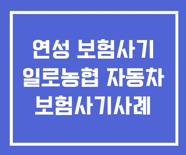 연성 보험사기 일로농협 자동차 보험사기사례 연성 보험사기 일로농협 자동차 보험사기사례
