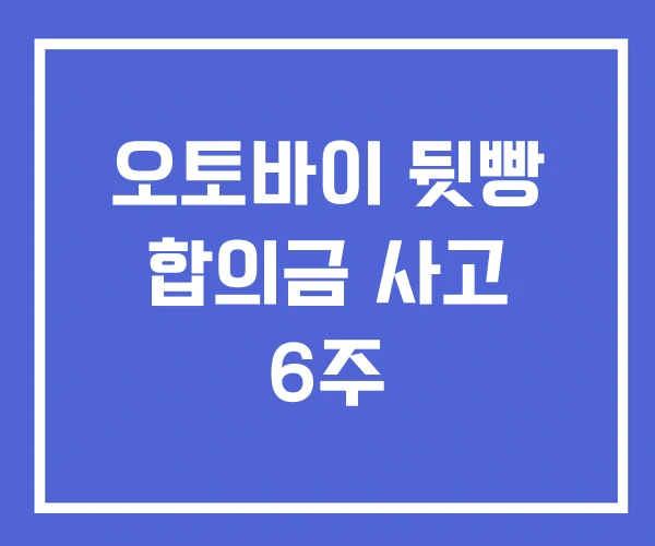 오토바이 뒷빵 합의금 사고 6주 오토바이 뒷빵 합의금 사고 6주