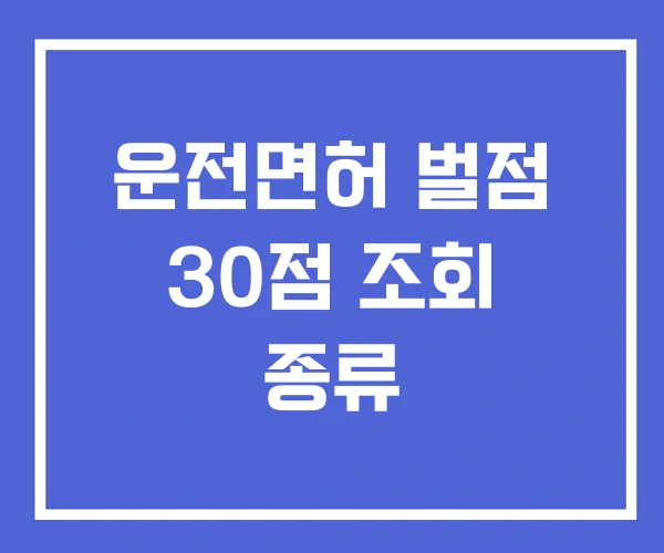 운전면허 벌점 30점 조회 종류 운전면허 벌점 30점 조회 종류