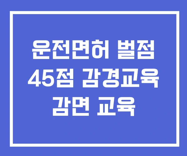 운전면허 벌점 45점 감경교육 감면 교육
