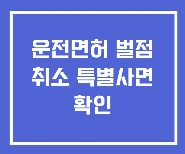 운전면허 벌점 취소 특별사면 확인 운전면허 벌점 취소 특별사면 확인