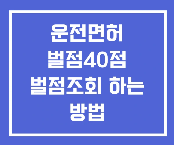 운전면허 벌점40점 벌점조회 하는 방법 운전면허 벌점40점 벌점조회 하는 방법