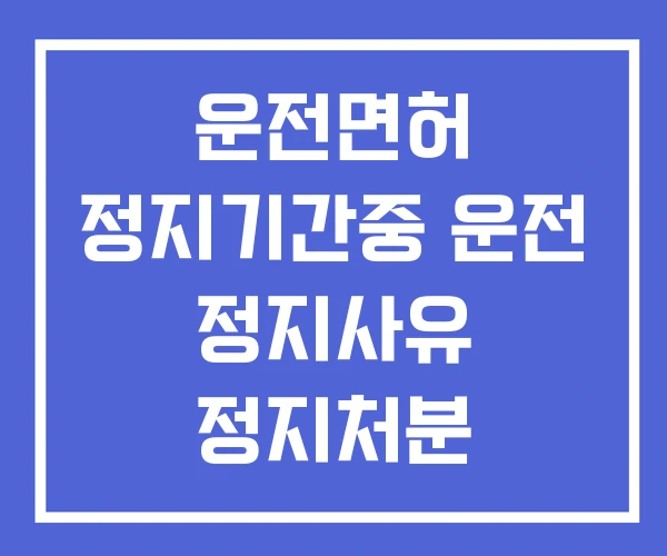 운전면허 정지기간중 운전 정지사유 정지처분 운전면허 정지기간중 운전 정지사유 정지처분