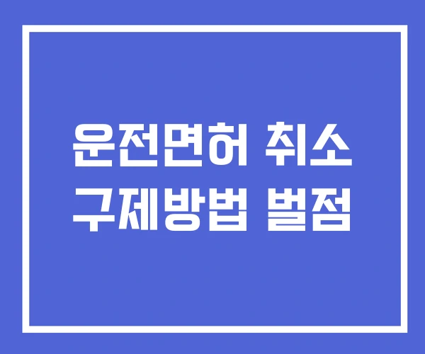 운전면허 취소 구제방법 벌점 운전면허 취소 구제방법 벌점