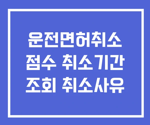 운전면허취소 점수 취소기간 조회 취소사유