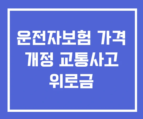 운전자보험 가격 개정 교통사고 위로금 운전자보험 가격 개정 교통사고 위로금