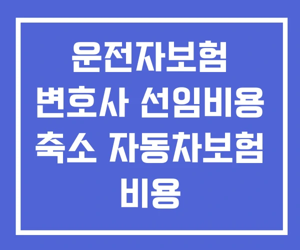운전자보험 변호사 선임비용 축소 자동차보험 비용 운전자보험 변호사 선임비용 축소 자동차보험 비용