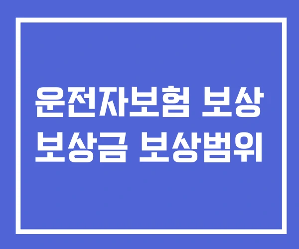 운전자보험 보상 보상금 보상범위 운전자보험 보상 보상금 보상범위