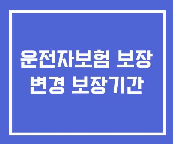 운전자보험 보장 변경 보장기간