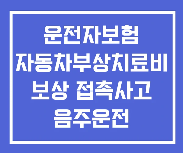 운전자보험 자동차부상치료비 보상 접촉사고 음주운전 운전자보험 자동차부상치료비 보상 접촉사고 음주운전