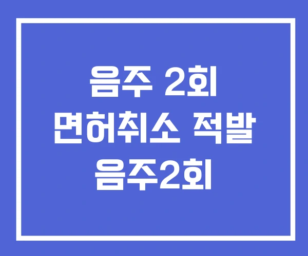 음주 2회 면허취소 적발 음주2회 음주 2회 면허취소 적발 음주2회