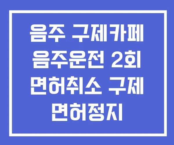 음주 구제카페 음주운전 2회 면허취소 구제 면허정지 100일 음주 구제카페 음주운전 2회 면허취소 구제 면허정지 100일