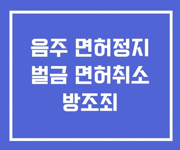 음주 면허정지 벌금 면허취소 방조죄