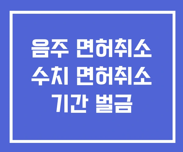 음주 면허취소 수치 면허취소 기간 벌금
