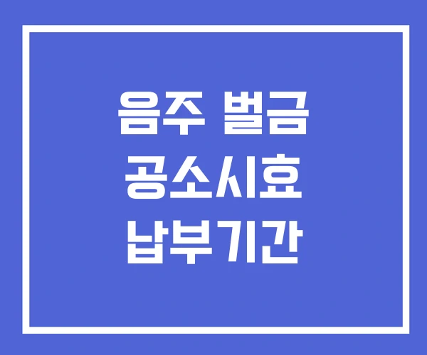 음주 벌금 공소시효 납부기간 음주 벌금 공소시효 납부기간