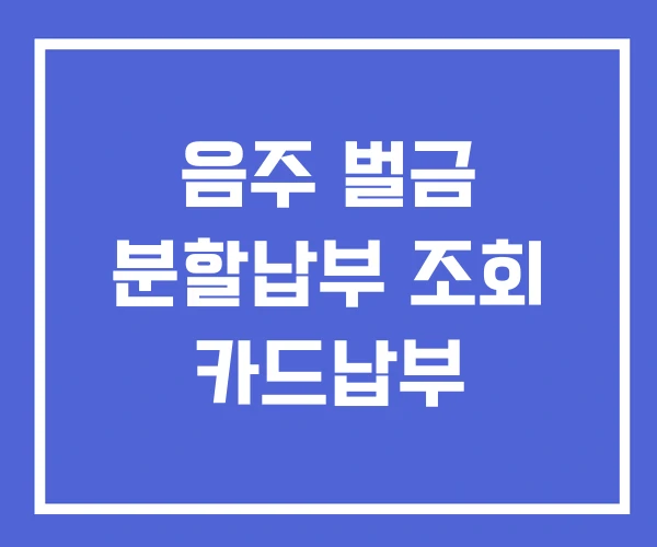 음주 벌금 분할납부 조회 카드납부