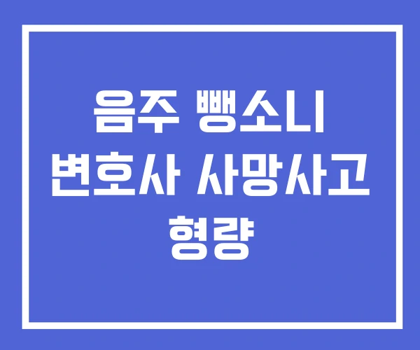 음주 뺑소니 변호사 사망사고 형량 음주 뺑소니 변호사 사망사고 형량