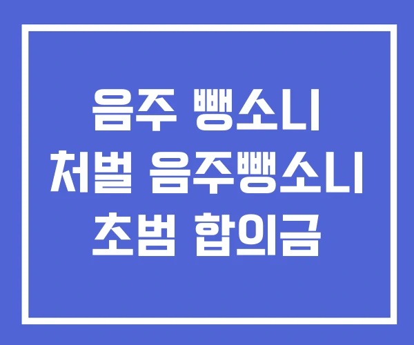 음주 뺑소니 처벌 음주뺑소니 초범 합의금