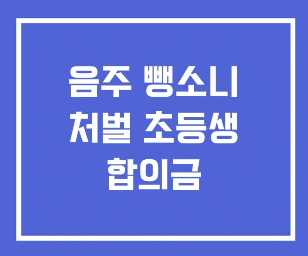 음주 뺑소니 처벌 초등생 합의금