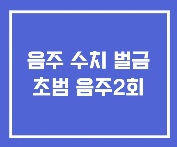 음주 수치 벌금 초범 음주2회