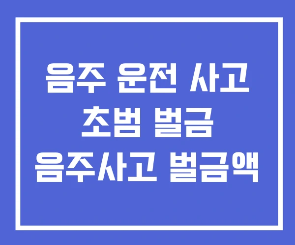 음주 운전 사고 초범 벌금 음주사고 벌금액