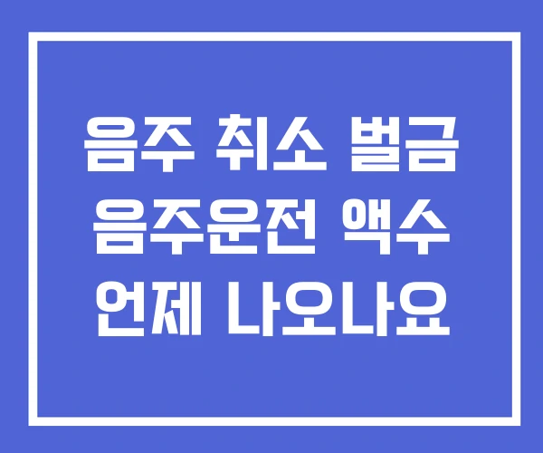 음주 취소 벌금 음주운전 액수 언제 나오나요