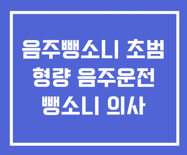 음주뺑소니 초범 형량 음주운전 뺑소니 의사