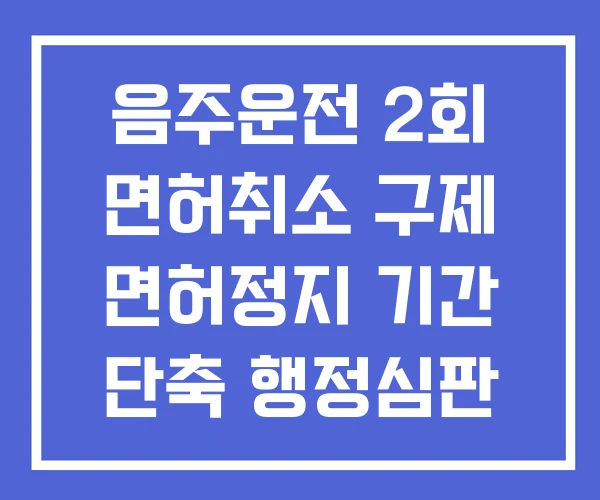 음주운전 2회 면허취소 구제 면허정지 기간 단축 행정심판 율 음주운전 2회 면허취소 구제 면허정지 기간 단축 행정심판 율