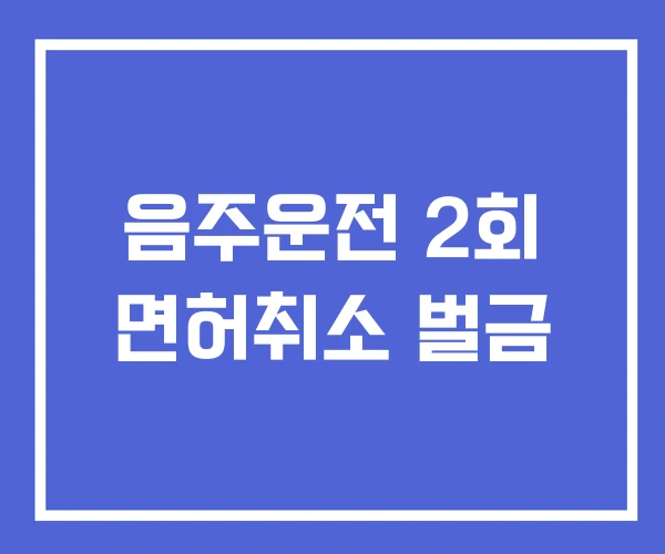 음주운전 2회 면허취소 벌금