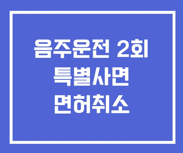 음주운전 2회 특별사면 면허취소