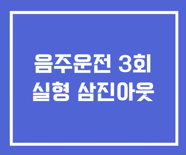 음주운전 3회 실형 삼진아웃