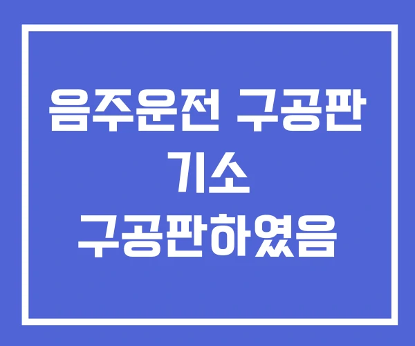 음주운전 구공판 기소 구공판하였음