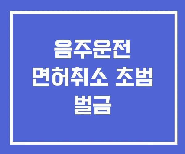 음주운전 면허취소 초범 벌금