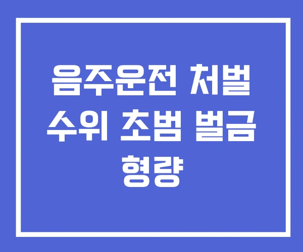 음주운전 처벌 수위 초범 벌금 형량