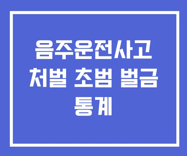 음주운전사고 처벌 초범 벌금 통계