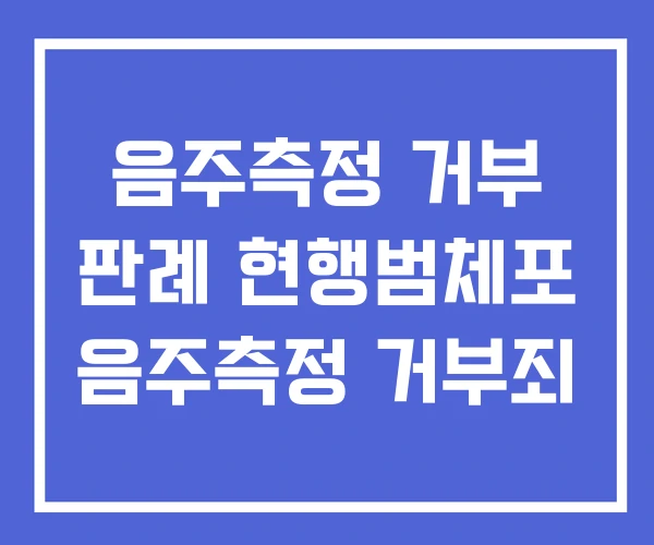 음주측정 거부 판례 현행범체포 음주측정 거부죄