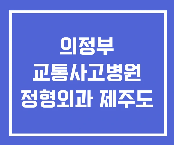 의정부 교통사고병원 정형외과 제주도