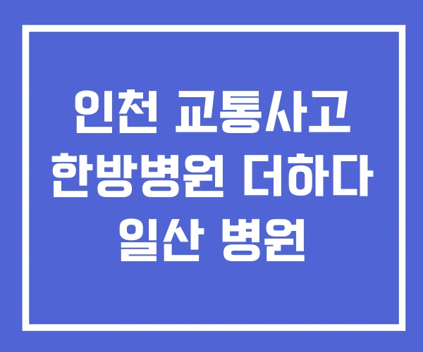 인천 교통사고 한방병원 더하다 일산 병원