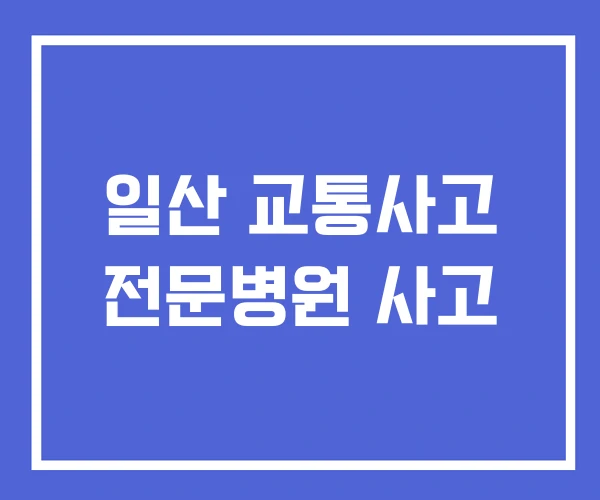 일산 교통사고 전문병원 사고