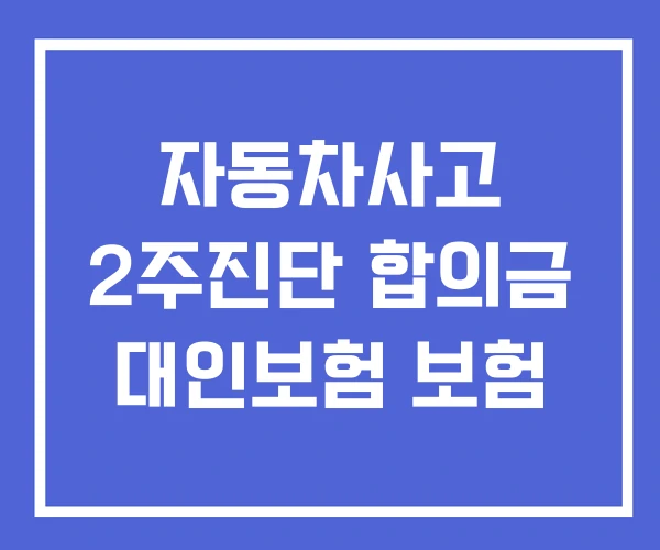 자동차사고 2주진단 합의금 대인보험 보험