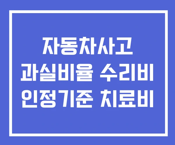 자동차사고 과실비율 수리비 인정기준 치료비