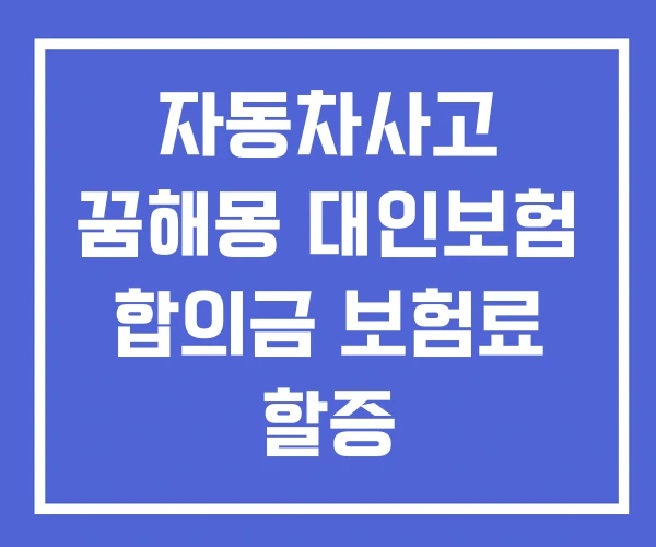 자동차사고 꿈해몽 대인보험 합의금 보험료 할증