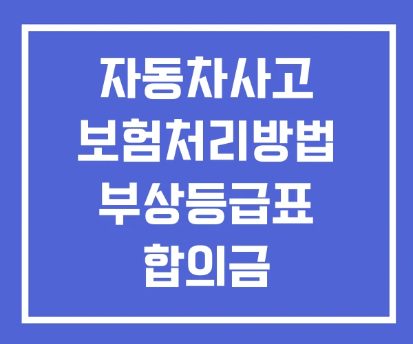 자동차사고 보험처리방법 부상등급표 합의금