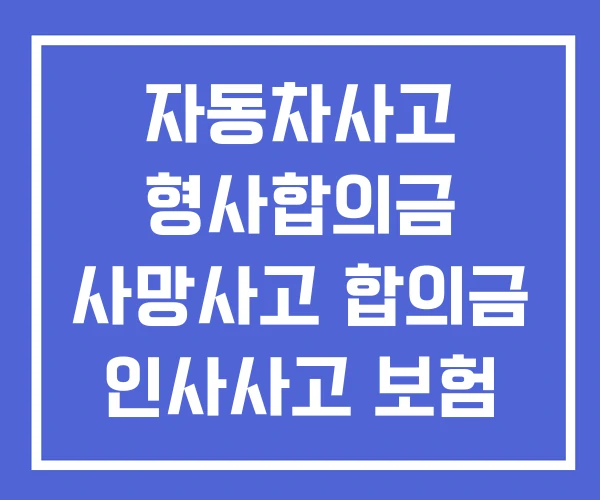 자동차사고 형사합의금 사망사고 합의금 인사사고 보험