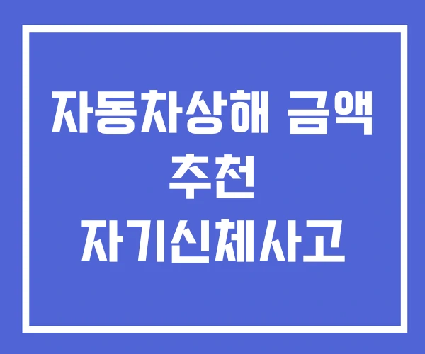 자동차상해 금액 추천 자기신체사고
