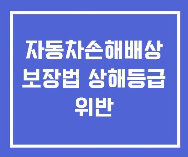 자동차손해배상 보장법 상해등급 위반