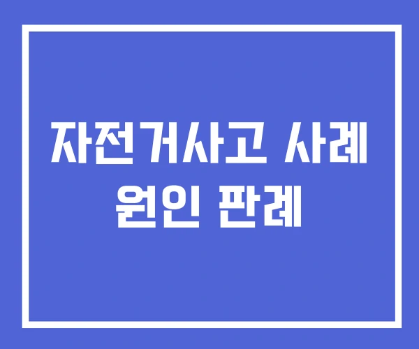 자전거사고 사례 원인 판례