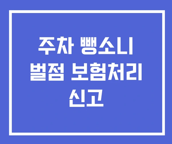 주차 뺑소니 벌점 보험처리 신고