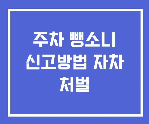 주차 뺑소니 신고방법 자차 처벌